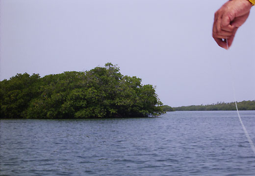 Channel