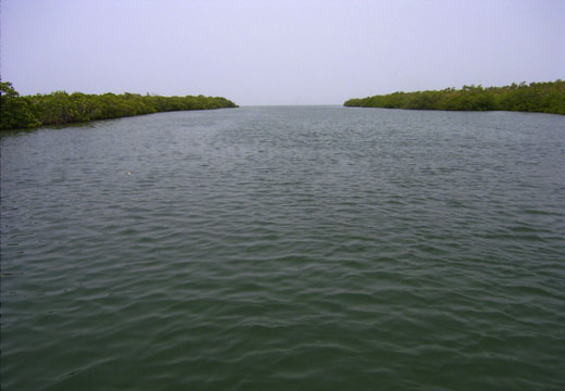 Channel