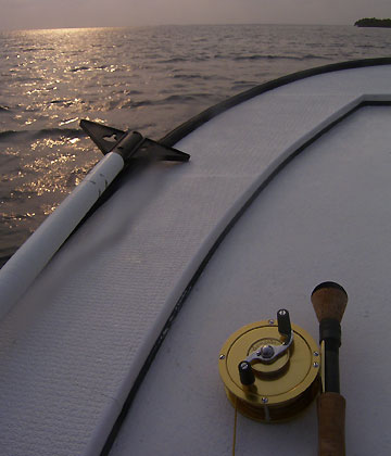 Seamaster Tarpon