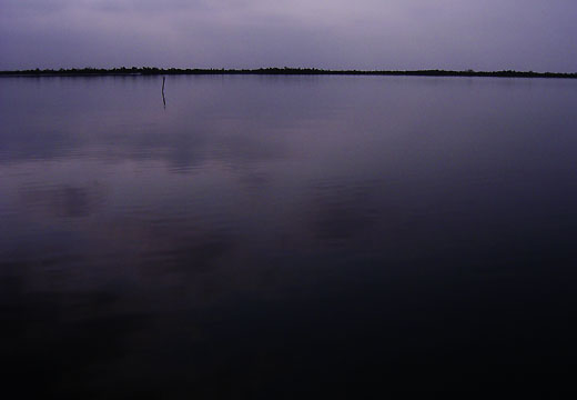 Mirror Surface