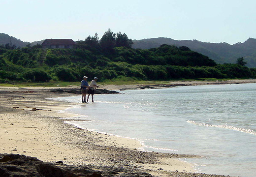 Beach